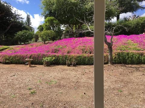 161 S Upas St, Escondido, CA 92025 photo 19