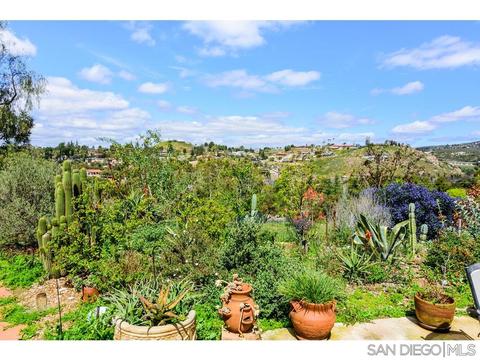 2116 Via Dieguenos, Alpine, CA 91901 photo 20