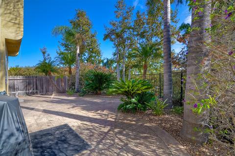 6898 Via Borregos, Carlsbad, CA 92009 photo 15