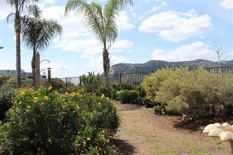 9014 Summerhill Pt, Alpine, CA 91901 photo 22