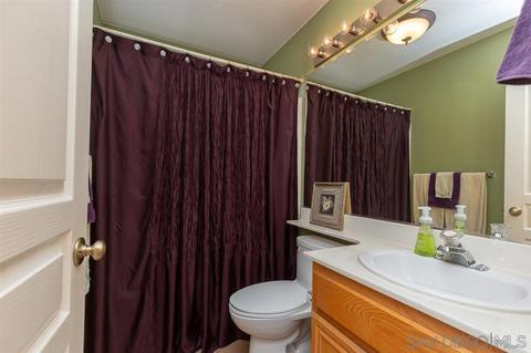 10116 Pinery Grv, Lakeside, CA 92040 photo 18
