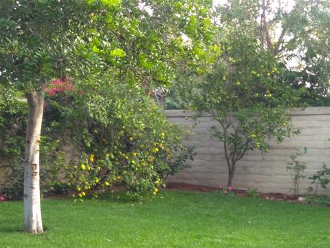 10807 Figtree Ct, San Diego, CA 92131 photo 20