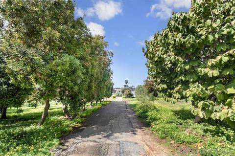 3519 Luneta Ln, Fallbrook, CA 92028 photo 22