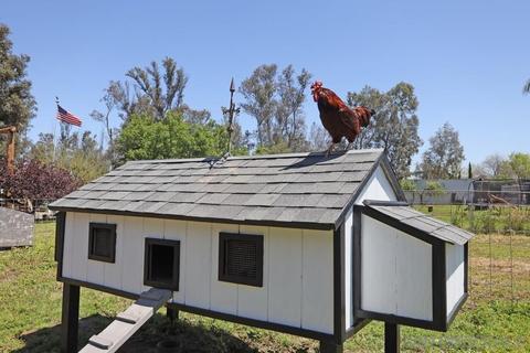 2955 Dye Rd, Ramona, CA 92065 photo 24