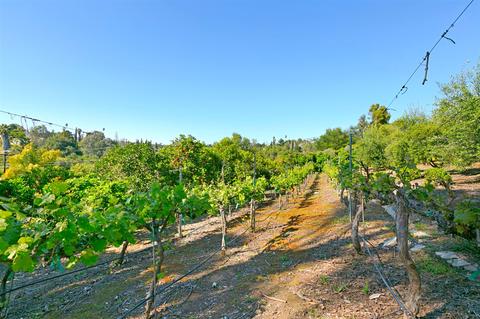 2156 Summit Dr, Escondido, CA 92025 photo 24