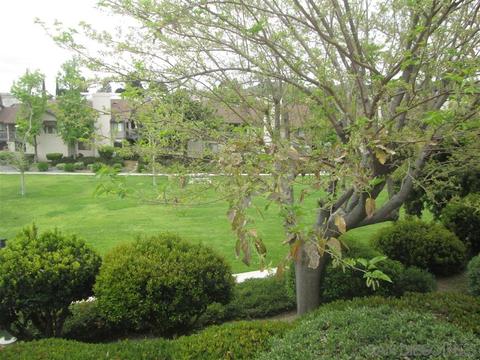3009 Chipwood Ct, Spring Valley, CA 91978 photo 13