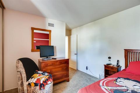 3210 Caminito Ameca, La Jolla, CA 92037 photo 20