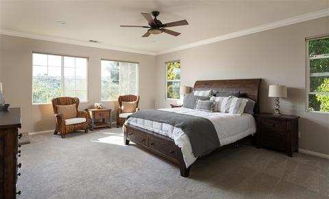 7401 Circulo Sequoia, Carlsbad, CA 92009 photo 17