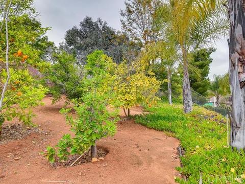 1744 Eldon Ct, El Cajon, CA 92021 photo 20