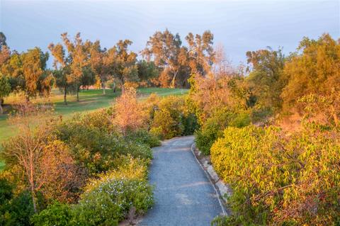 3672 Camino Bajada, Escondido, CA 92025 photo 21