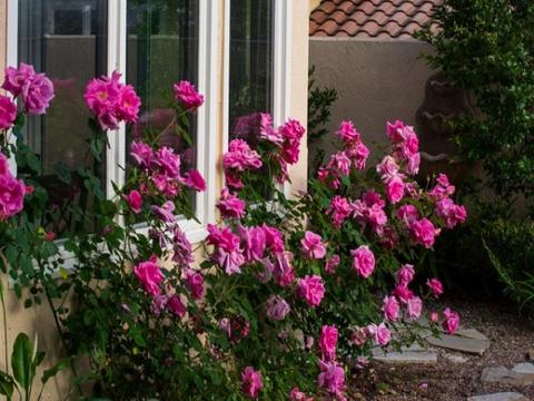 3672 Camino Bajada, Escondido, CA 92025 photo 23