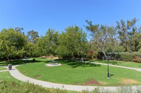 689 Sweet Pea Pl, Encinitas, CA 92024 photo 23
