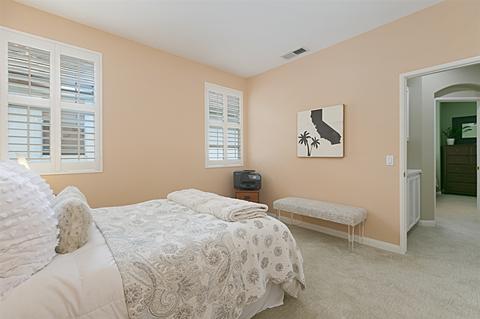 689 Sweet Pea Pl, Encinitas, CA 92024 photo 20