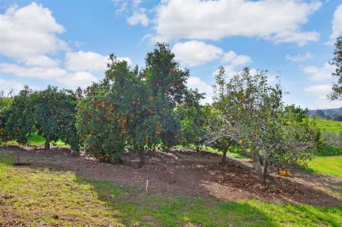 1788 Avenida De Nog, Fallbrook, CA 92028 photo 22