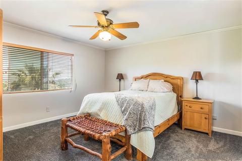 1481 Sunhaven Rd, Alpine, CA 91901 photo 20