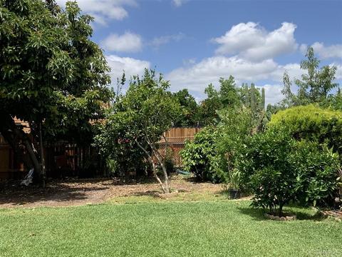 630 Daisy St, Escondido, CA 92027 photo 24