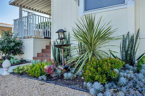 450 E Bradley Ave #51, El Cajon, CA 92021 photo 18