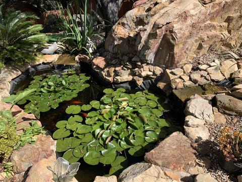 1171 Rainbow Valley Blvd, Fallbrook, CA 92028 photo 8