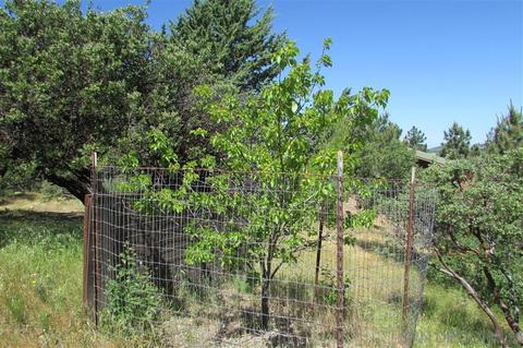 3284 Panorama Dr, Julian, CA 92036 photo 19
