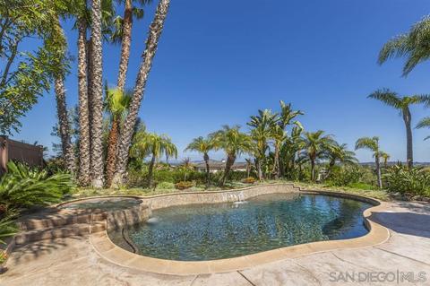 406 Hickoryhill Dr, Encinitas, CA 92024 photo 23