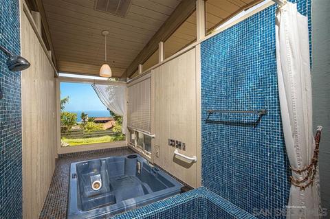 1455 Cottontail Ln, La Jolla, CA 92037 photo 14