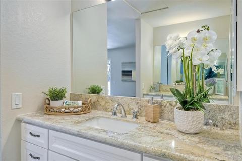 234 Countryhaven Rd, Encinitas, CA 92024 photo 13