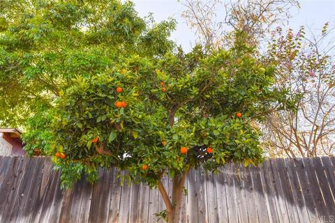 12530 Jackson Hill Ln, El Cajon, CA 92021 photo 18