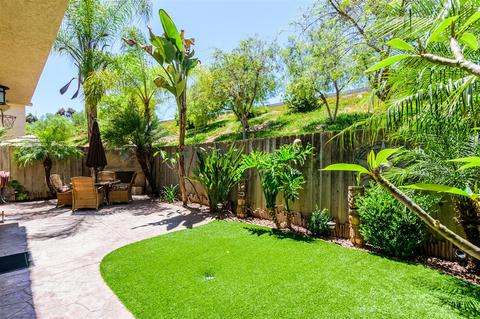 8768 Glen Vista Way, Santee, CA 92071 photo 22
