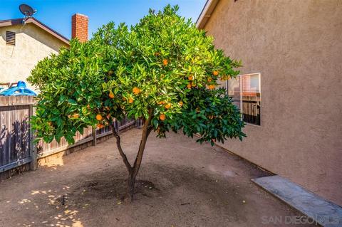 11004 Collinwood Dr, Santee, CA 92071 photo 21