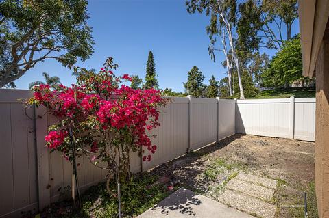 1906 Parkdale Ln, Encinitas, CA 92024 photo 17