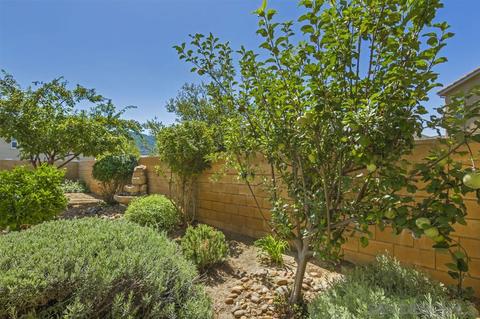 4009 Lake Shore Ln, Fallbrook, CA 92028 photo 24