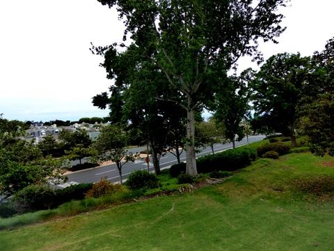 6993 Carnation Dr, Carlsbad, CA 92011 photo 19