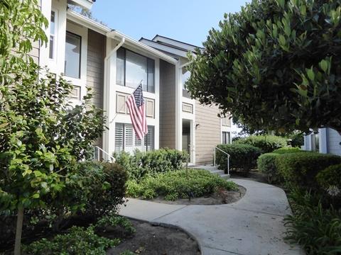 6993 Carnation Dr, Carlsbad, CA 92011 photo 20