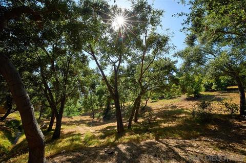 2255 Country Rd, Fallbrook, CA 92028 photo 18