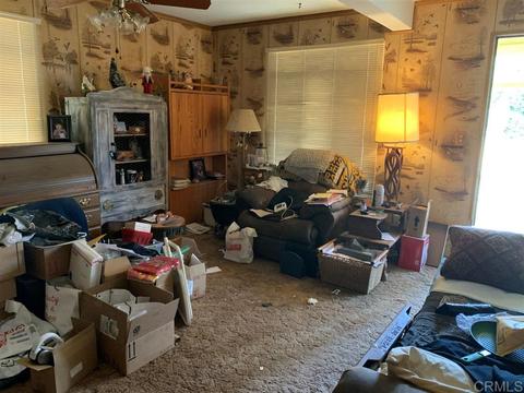 11203 Highway 67, Lakeside, CA 92040 photo 8