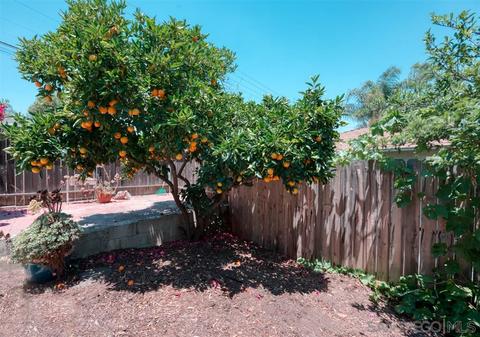 544 E 5th Ave, Escondido, CA 92025 photo 17