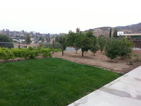 11056 Collinwood Dr, Santee, CA 92071 photo 4