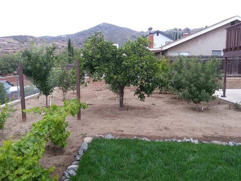 11056 Collinwood Dr, Santee, CA 92071 photo 3