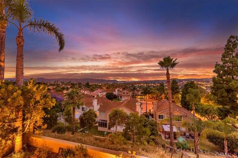 7003 Via Padilla, Carlsbad, CA 92009 photo 3
