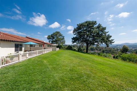 1892 Forestdale Dr, Encinitas, CA 92024 photo 23