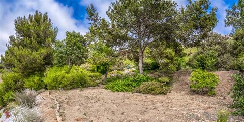 6073 Avenida Chamnez, La Jolla, CA 92037 photo 20