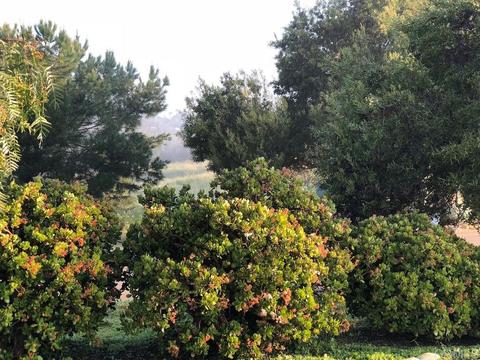 1369 Bird Haven Ln, Fallbrook, CA 92028 photo 21