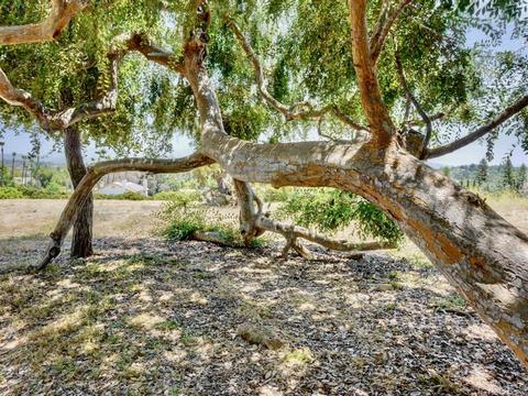 1369 Bird Haven Ln, Fallbrook, CA 92028 photo 4