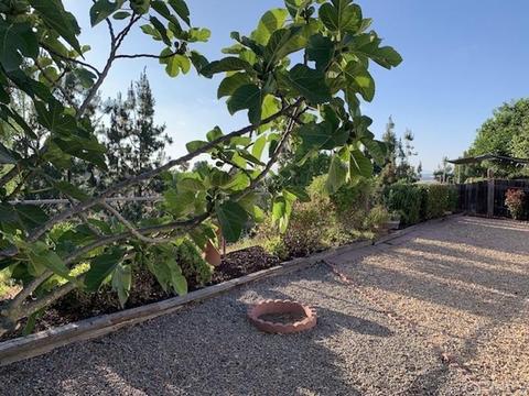 5100 Mandarin Dr, Oceanside, CA 92056 photo 18