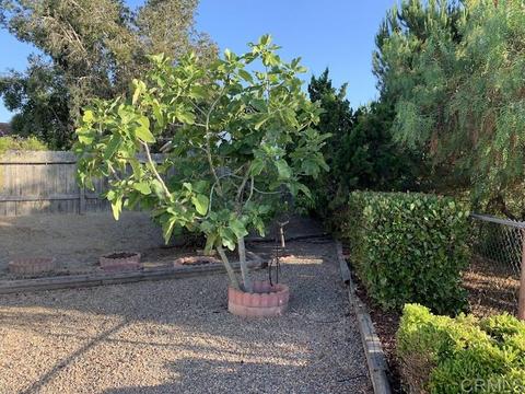 5100 Mandarin Dr, Oceanside, CA 92056 photo 17