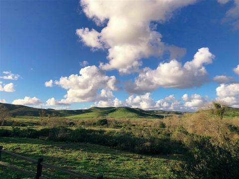 8767 Boulder Ln, Santee, CA 92071 photo 13