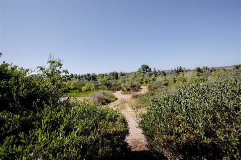 101 River Rock Ct, Santee, CA 92071 photo 14