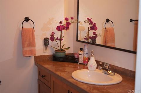 10020 Anoel Ct, Spring Valley, CA 91977 photo 16