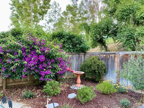 2381 N Iris Ln, Escondido, CA 92026 photo 15