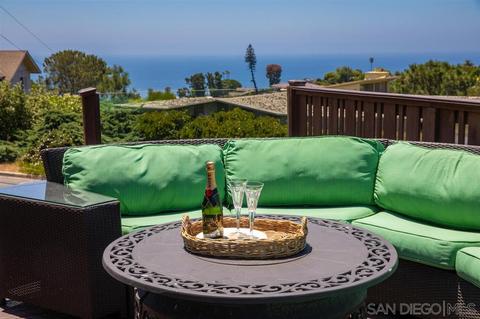 1325 Rodeo Dr, La Jolla, CA 92037 photo 18